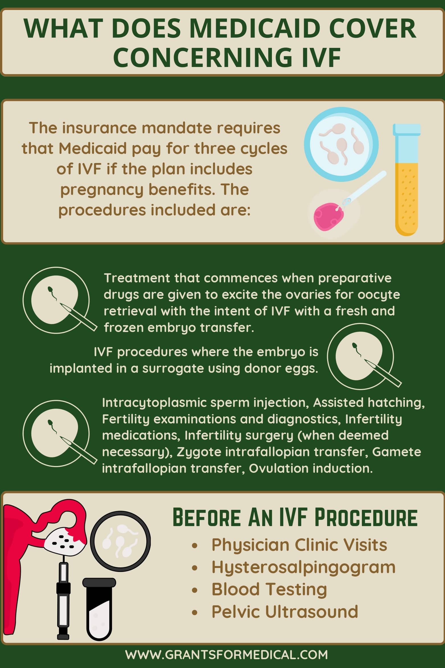 Read more about the article Does Medicaid Cover IVF? The Truth Behind Fertility Treatment and Public Insurance