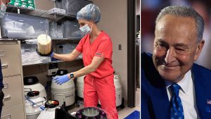 Read more about the article Why Did Republicans Block the IVF Bill?