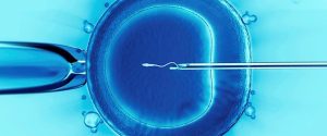 Read more about the article How Does IVF Work? A Deep Dive into the Science, Process, and Secrets Behind It