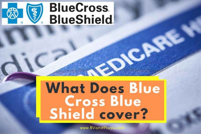 You are currently viewing Does Blue Cross Blue Shield Insurance Cover IVF?