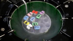 Read more about the article Why Do Conservatives Not Like IVF?