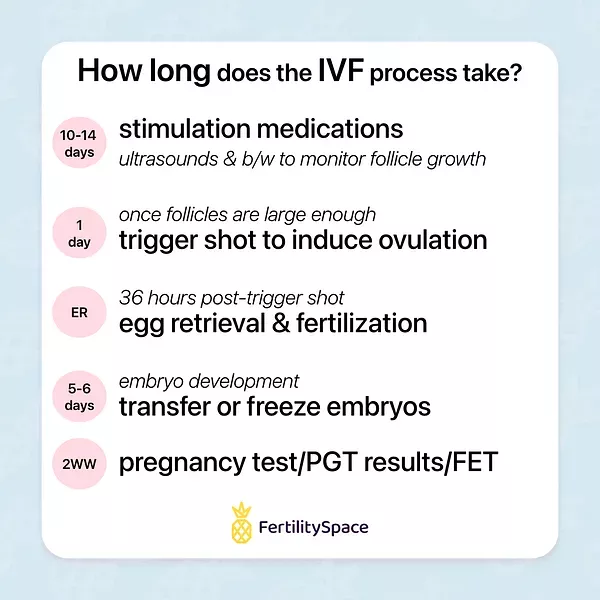 You are currently viewing How Long Does IVF Treatment Take? Your Ultimate Guide to the IVF Timeline