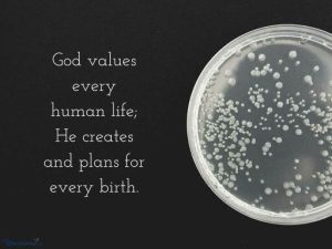 Read more about the article What Does the Bible Say About IVF?