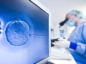 Read more about the article Can You Do Research on IVF Embryos? Exploring the Science, Privacy, and Untold Stories