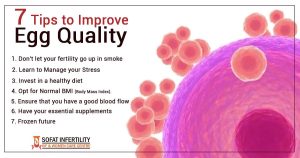 Read more about the article How to Improve Egg Quality for IVF: Your Ultimate Guide to Boosting Fertility