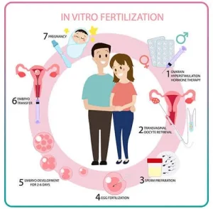 Read more about the article What Is an IVF Baby? Your Ultimate Guide to Understanding In Vitro Fertilization