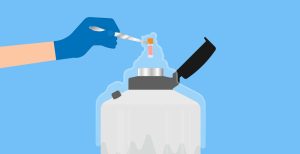 Read more about the article How Many Eggs Are Retrieved for IVF? Everything You Need to Know