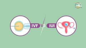 Read more about the article Which Is More Painful: IUI or IVF?