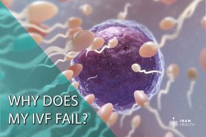 Read more about the article Why Does IVF Fail? Uncovering the Hidden Reasons and Boosting Your Chances