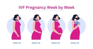 Read more about the article How Many Weeks Pregnant Am I After IVF? Your Ultimate Guide to Understanding Your IVF Pregnancy Timeline