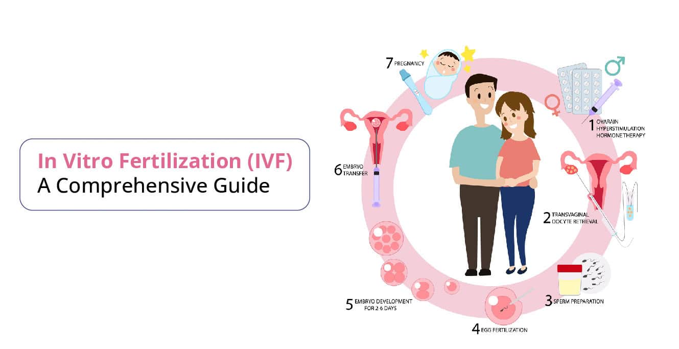 Read more about the article Is IVF Illegal? Everything You Need to Know About IVF Laws in 2025