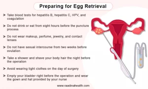 Read more about the article How Do They Extract Eggs for IVF? A Deep Dive Into the Process
