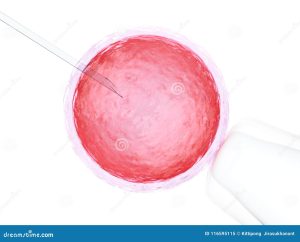 Read more about the article Is Artificial Insemination the Same as IVF?