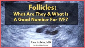 Read more about the article How to Increase the Number of Follicles in IVF: Your Ultimate Guide to Boosting Success