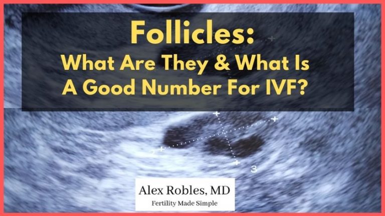 You are currently viewing How to Increase the Number of Follicles in IVF: Your Ultimate Guide to Boosting Success