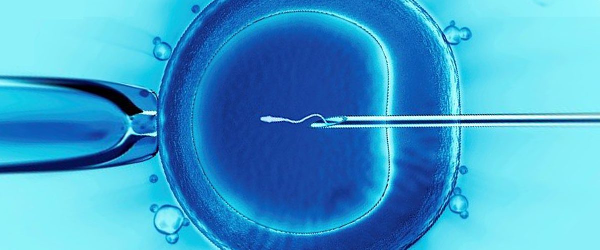 Read more about the article Does Blue Cross Blue Shield Cover IVF? Your Ultimate Guide to Fertility Coverage