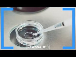 Read more about the article Is IVF Illegal in Alabama?