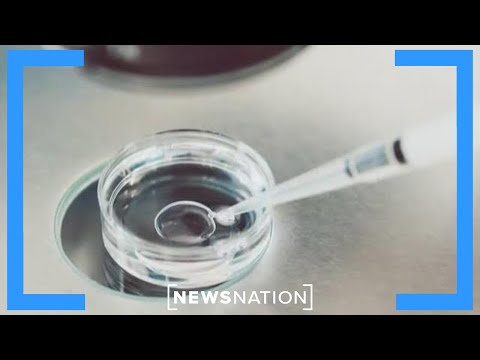 You are currently viewing Is IVF Illegal in Alabama?