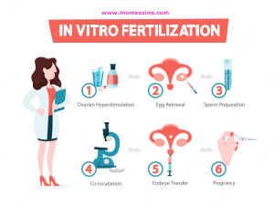 Read more about the article What’s IVF? Your Ultimate Guide to In Vitro Fertilization