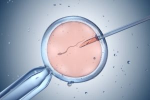 Read more about the article How Much Does IVF Cost? A Deep Dive into the Price of Building Your Family