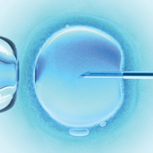 Read more about the article Is the Catholic Church Against IVF?
