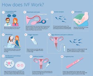 Read more about the article Which Kaiser Plan Covers IVF? Your Ultimate Guide to Fertility Coverage