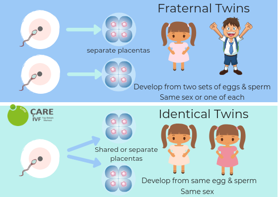 You are currently viewing Can You Have Twins with IVF? Everything You Need to Know