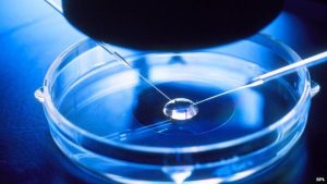 Read more about the article Is IVF Against the Bible? A Deep Dive into Faith, Science, and Family