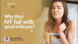 Read more about the article Why Does IVF Fail With Good Embryos?