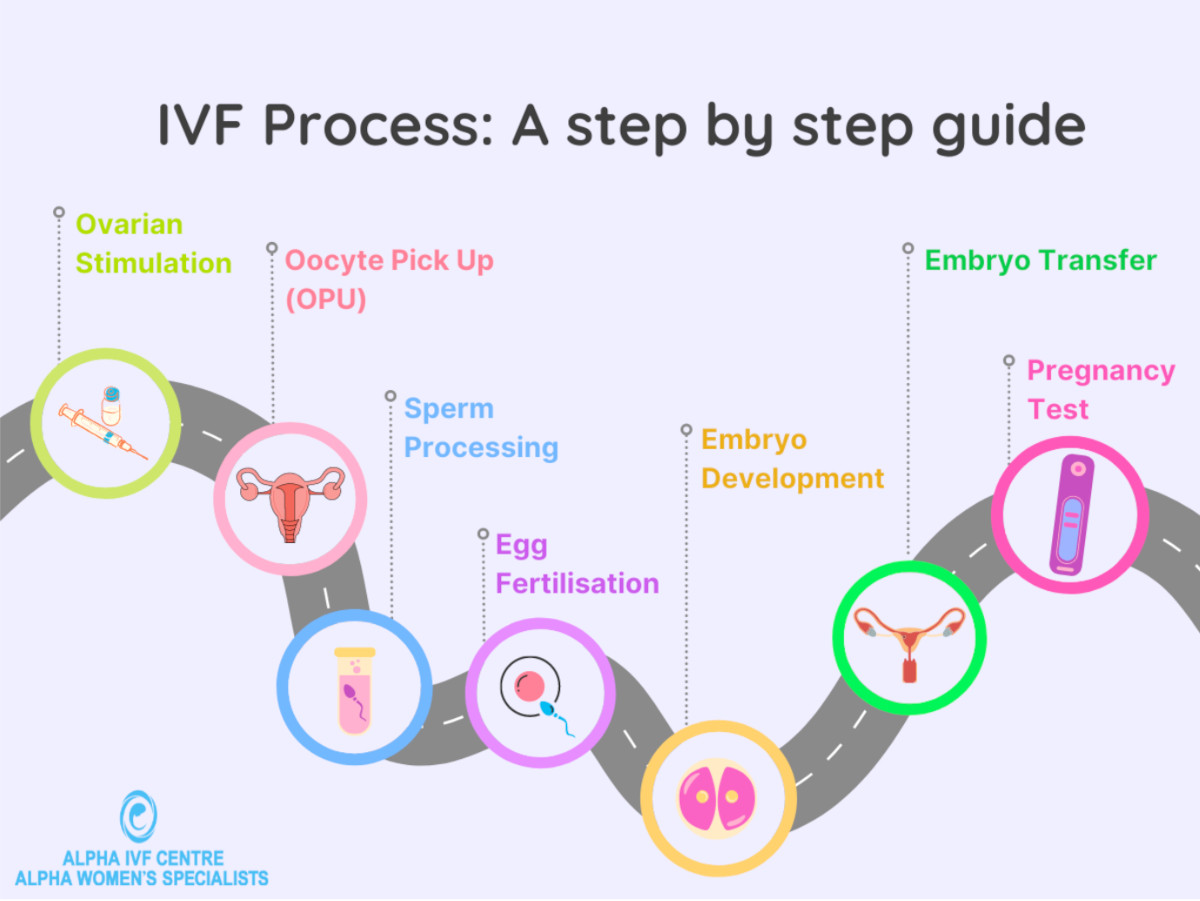 Read more about the article How Many Embryos Are Cultured in the IVF Process?