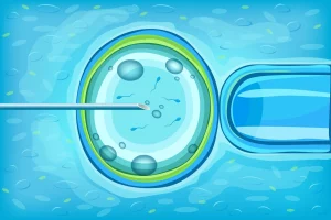 Read more about the article How Many Births Are from IVF? A Deep Dive into the World of In Vitro Fertilization