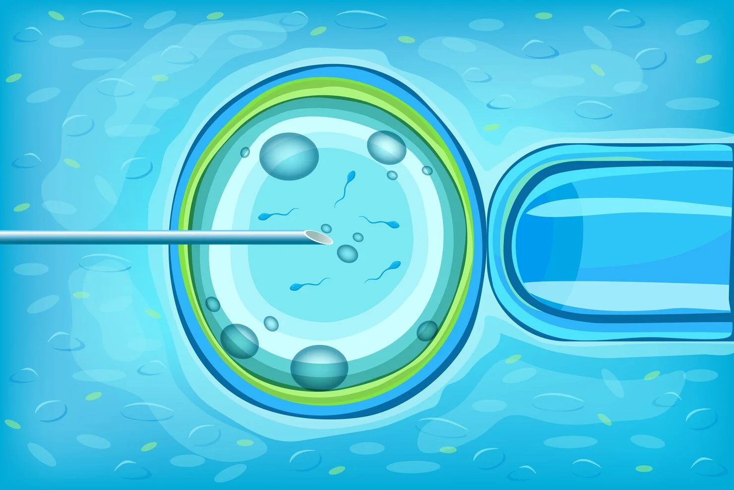 You are currently viewing How Many Births Are from IVF? A Deep Dive into the World of In Vitro Fertilization