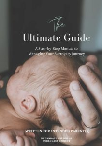 Read more about the article Your Ultimate Guide to the Surrogacy Procedure: Step-by-Step, Secrets, and Surprises
