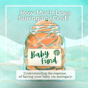 Read more about the article How Much Does Surrogacy Cost with Insurance?