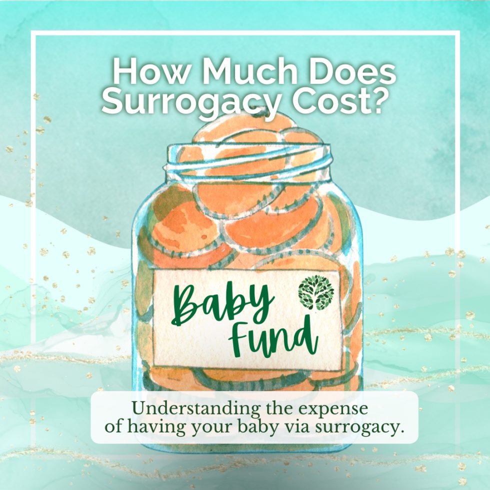 Read more about the article How Much Does Surrogacy Cost with Insurance?