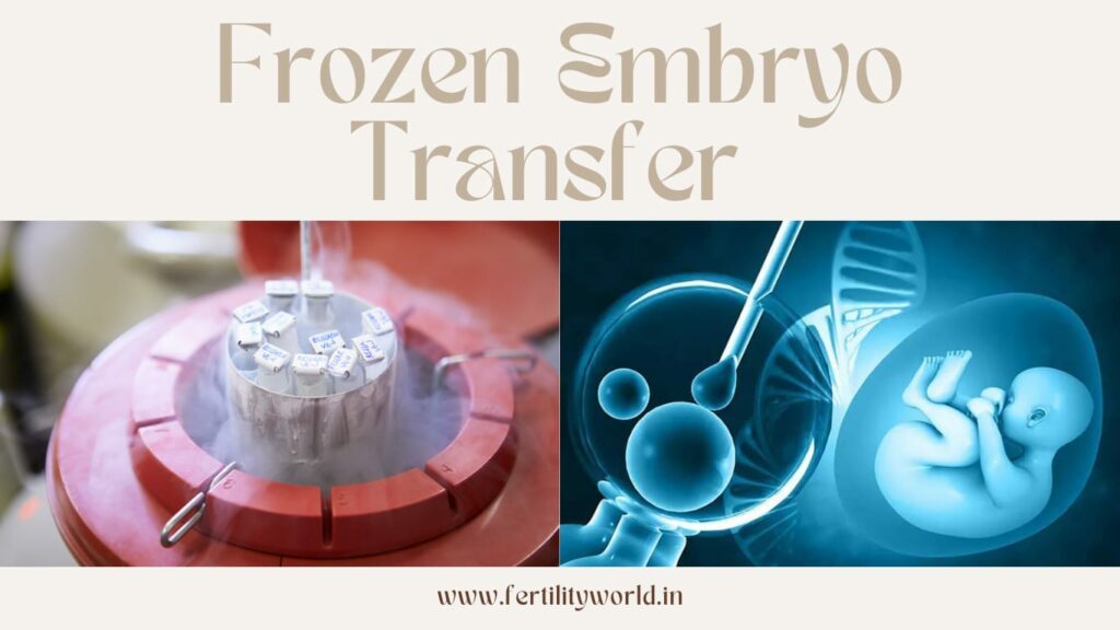 You are currently viewing What Is FET IVF? Your Ultimate Guide to Frozen Embryo Transfer