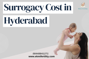 Read more about the article The Real Cost of Surrogacy: What You Need to Know Before You Start