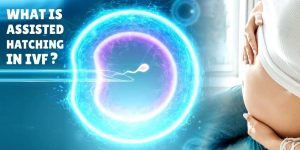 Read more about the article What Is Assisted Hatching in IVF? Your Ultimate Guide to This Hidden Fertility Boost
