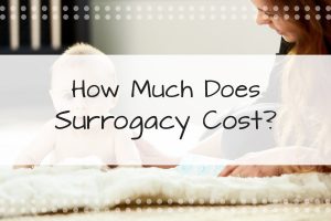 Read more about the article How Much Does Surrogacy Cost? A Deep Dive into the Price of Building a Family