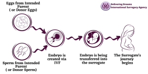 Read more about the article Whose Egg Is Used in Surrogacy? A Deep Dive into the Fascinating World of Surrogacy