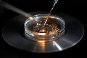 Read more about the article Why Does the Catholic Church Oppose IVF? A Deep Dive into Faith, Science, andEthics
