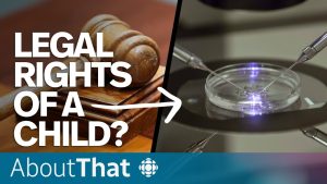 Read more about the article What Does the Alabama IVF Ruling Mean?