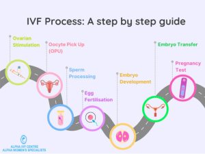 Read more about the article What Is Natural IVF? Your Ultimate Guide to a Gentler Fertility Journey