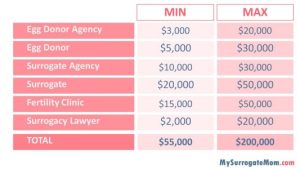 Read more about the article How Much Does Surrogacy Pay? Your Ultimate Guide to Surrogate Compensation