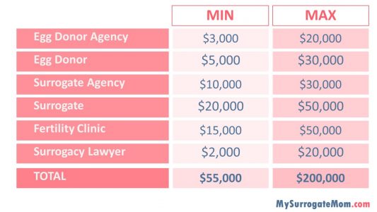 Read more about the article How Much Does Surrogacy Pay? Your Ultimate Guide to Surrogate Compensation
